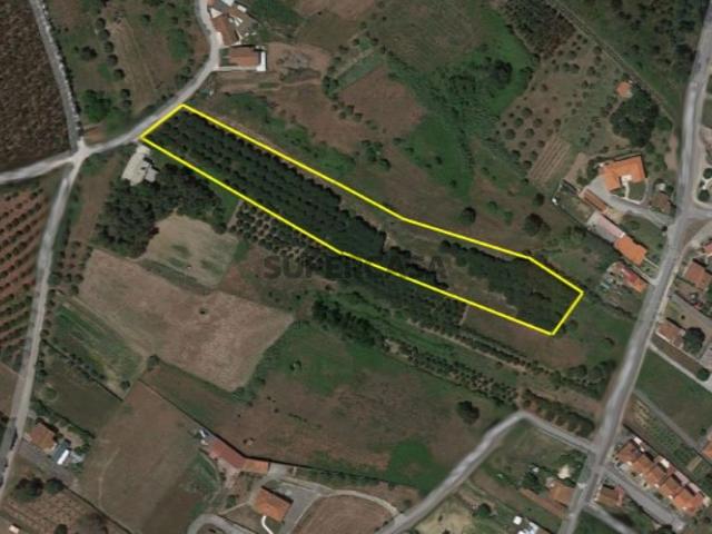 Terreno venda em Batalha, Leiria