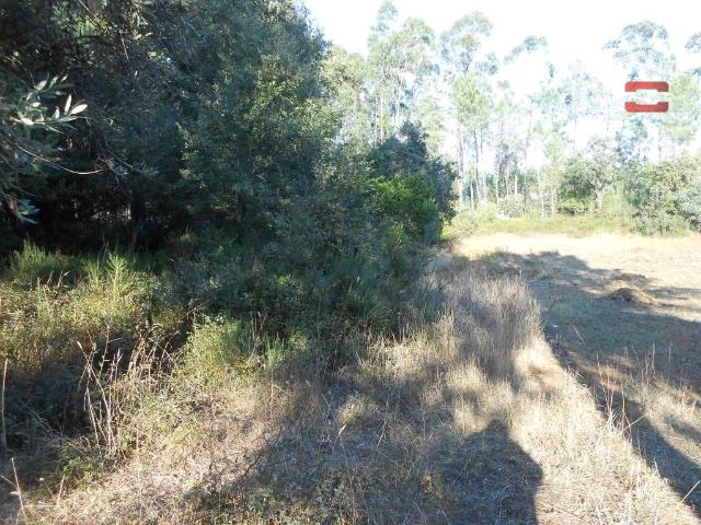 Terreno venda em Ourém, Santarém