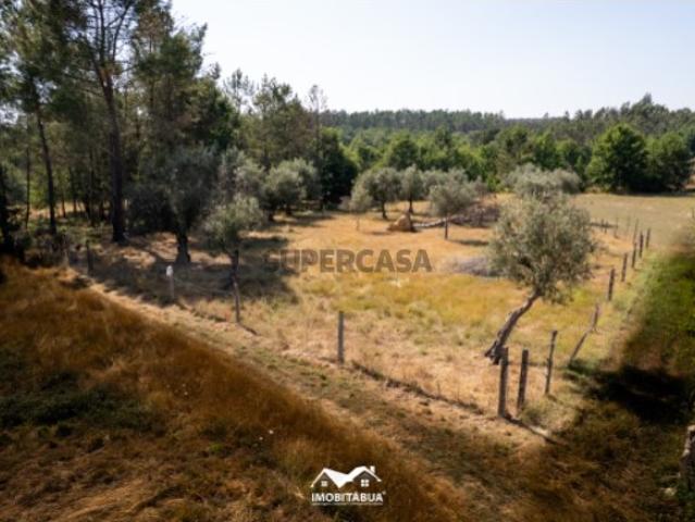 Terreno venda em Tábua, Coimbra