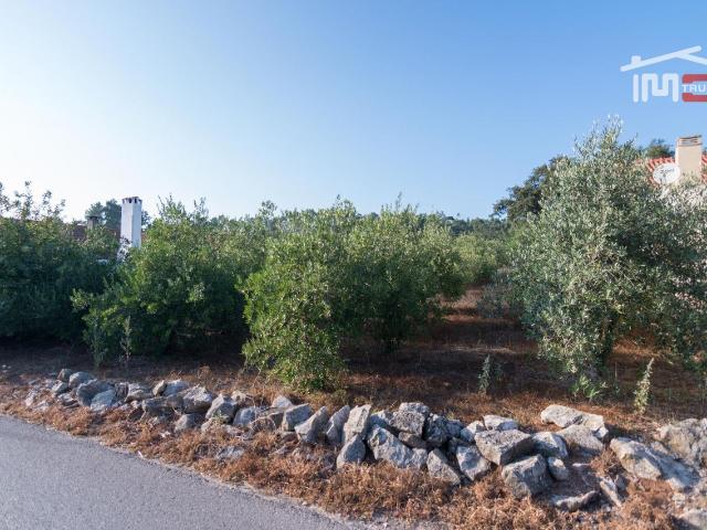 Terreno venda em Porto De Mós, Leiria