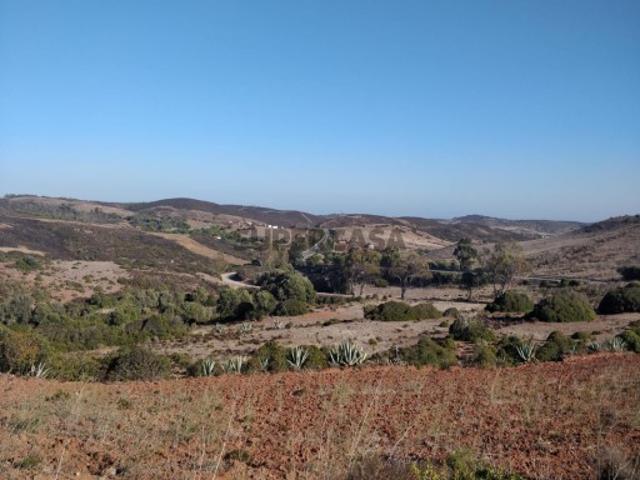 Terreno venda em Vila Do Bispo, Faro