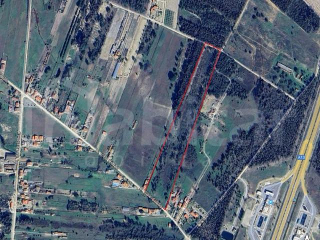 Terreno venda em Salvaterra De Magos, Santarém