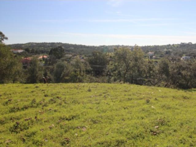 Terreno venda em São Brás De Alportel, Faro