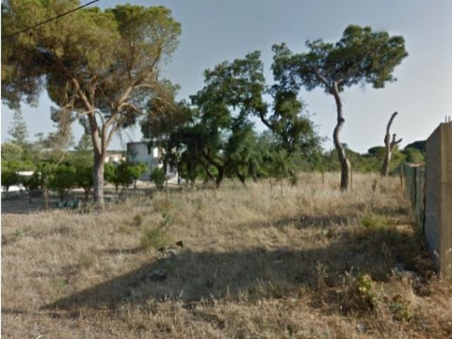 Terreno venda em Loulé, Faro