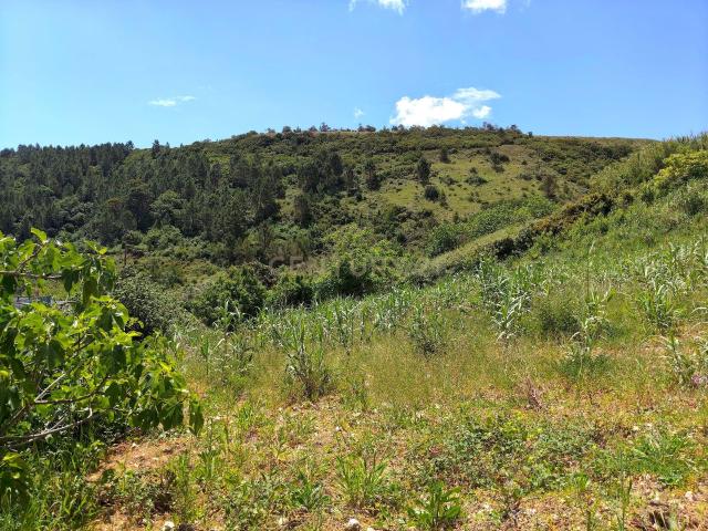 Terreno venda em Calhandriz, Lisboa