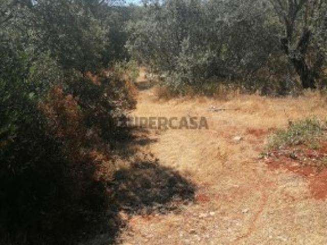 Terreno venda em Loulé, Faro