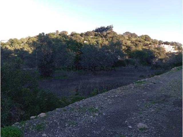 Terreno venda em São Brás De Alportel, Faro