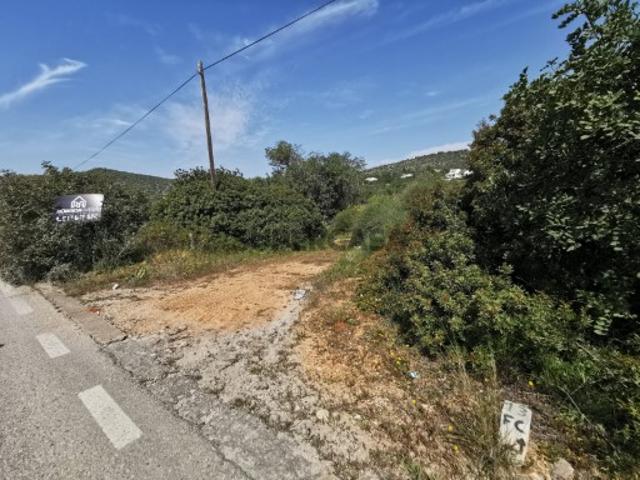 Terreno venda em Brotual, Loulé
