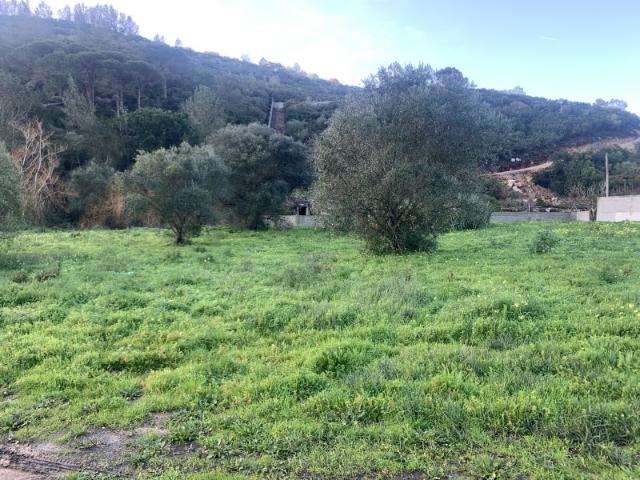 Terreno venda em Sesimbra (Castelo), Sesimbra