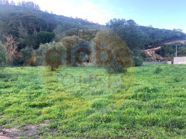 Terreno venda em Castelo, Sesimbra