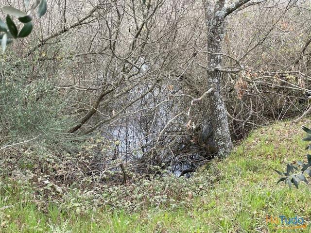 Quinta venda em Castelo Branco, Aldeia Nova Do Cabo