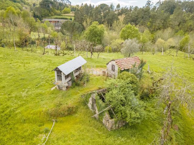Terreno venda em Folhada, Várzea Ovelha E Aliviada