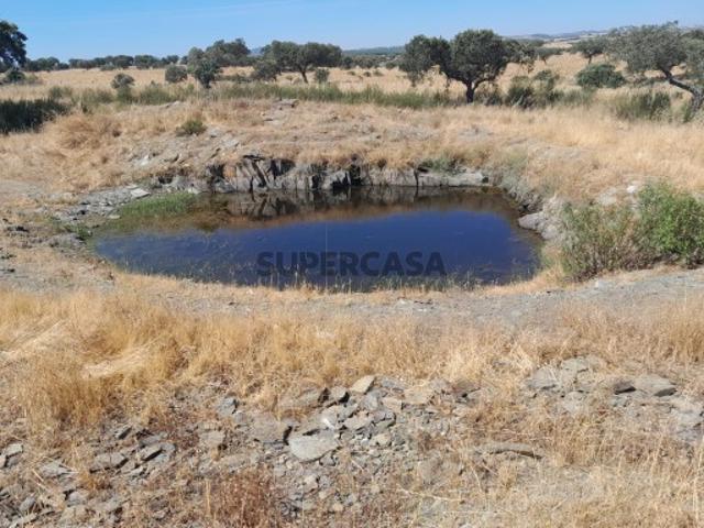 Terreno venda em Capelins (Santo António), Évora