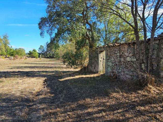 Terreno venda em Castelo Branco