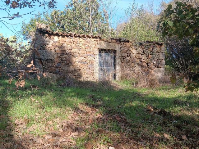 Terreno venda em Castelo Branco, Penamacor