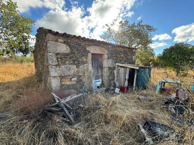 Terreno venda em Penamacor