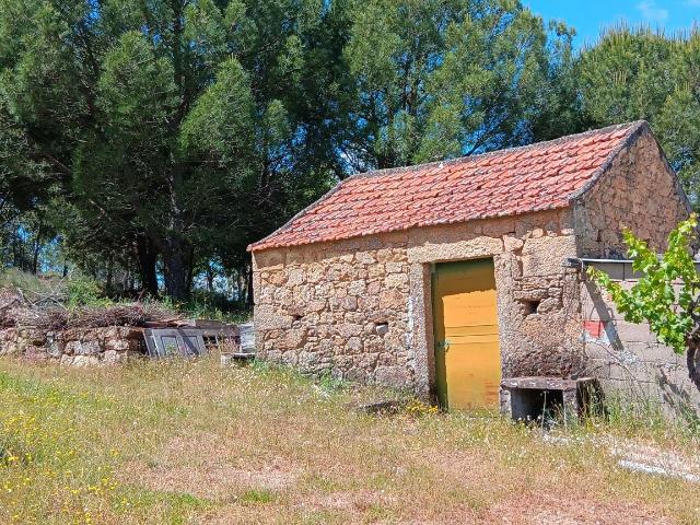 Terreno venda em Castelo Branco, Idanha-a-nova