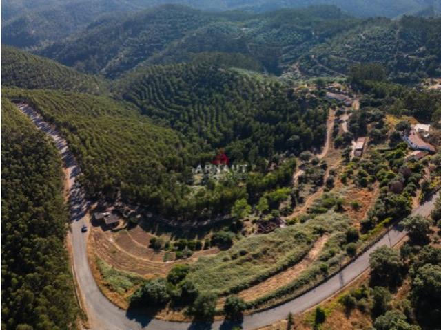 Terreno venda em Monchique, Faro