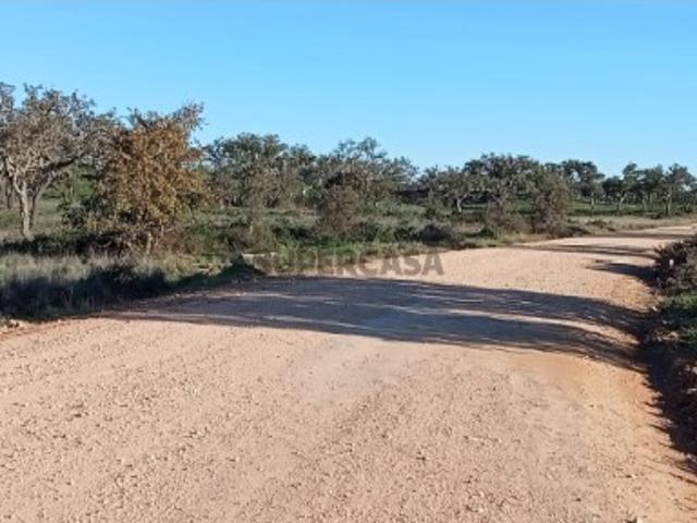 Terreno venda em Grândola, Setúbal