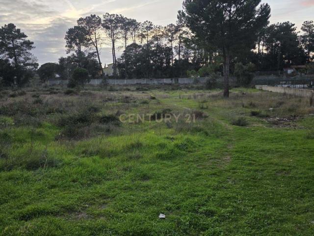 Terreno venda em Azeitão (São Lourenço e São Simão), Setúbal
