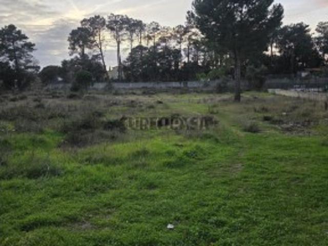 Terreno venda em Azeitão (São Lourenço e São Simão), Setúbal