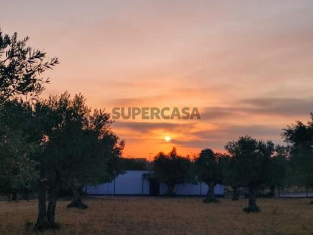 Terreno venda em Reguengos De Monsaraz, Évora