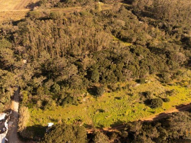 Terreno venda em Óbidos, Leiria