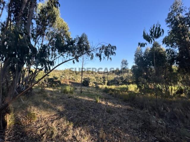 Terreno venda em Tomar, Santarém