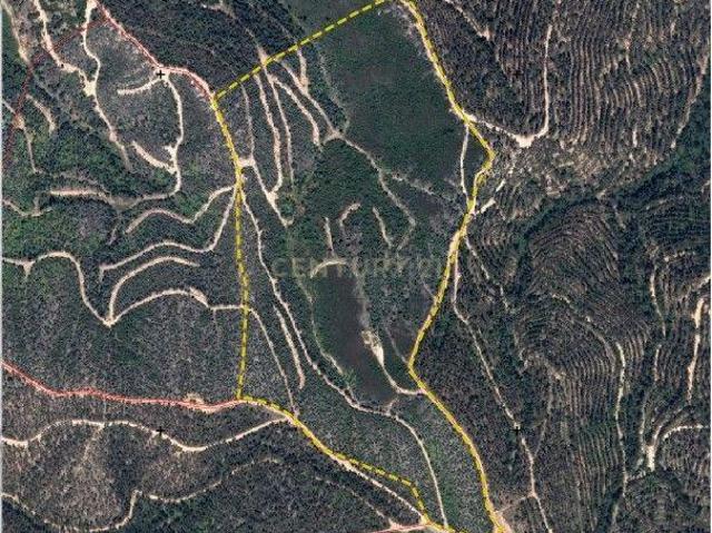 Terreno venda em Pé de Frio, Monchique