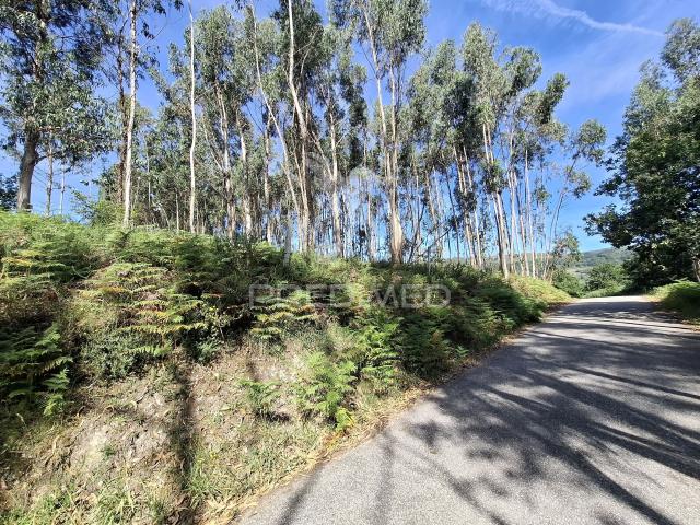 Terreno venda em Vila Verde, Braga