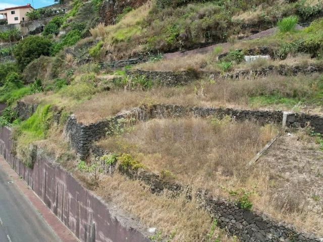 Terreno venda em Aviceiro, Câmara de Lobos