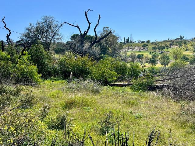 Terreno venda em Figueiral, Loulé