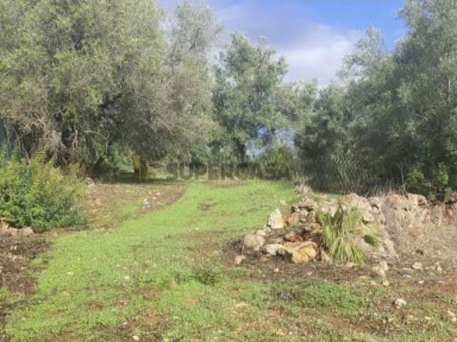 Terreno venda em Loulé, Faro