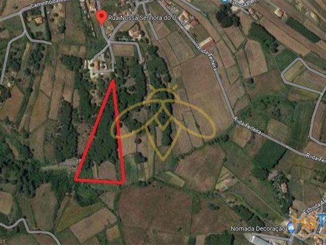 Terreno venda em Sintra, Lisboa