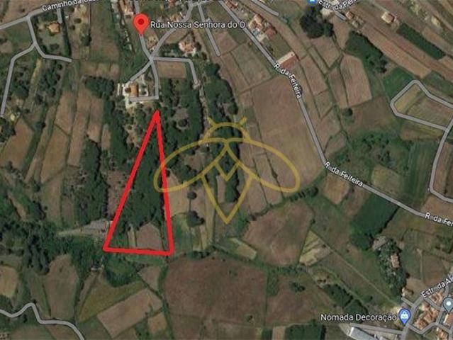 Terreno venda em Abrantes, Santarém
