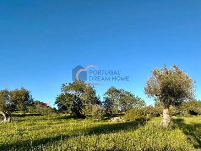 Quinta venda em Vale Fuzeiros, São Bartolomeu De Messines