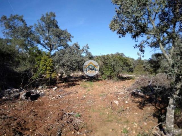 Terreno venda em São Brás De Alportel, Faro