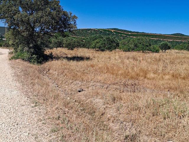 Terreno venda em Malhada Velha, Albufeira
