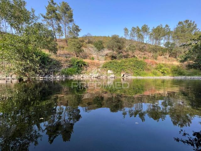 Terreno venda em Castelo Branco, Proença-a-nova