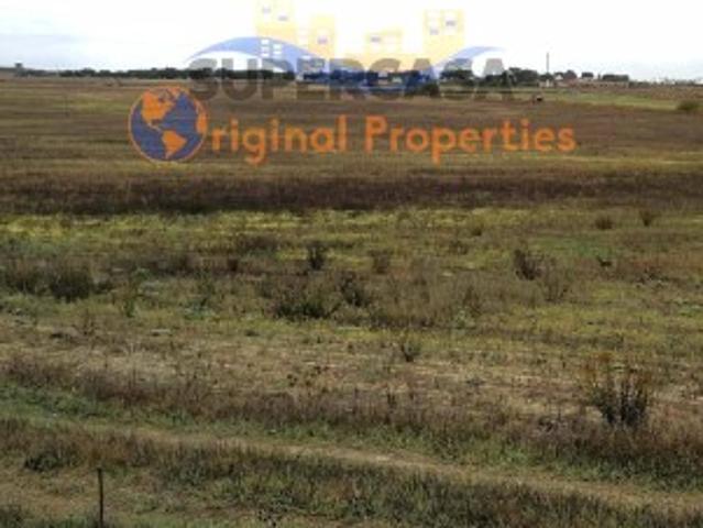 Terreno venda em Figueira dos Cavaleiros, Ferreira Do Alentejo