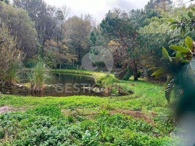 Terreno venda em Rio de Galinhas, Marco De Canaveses
