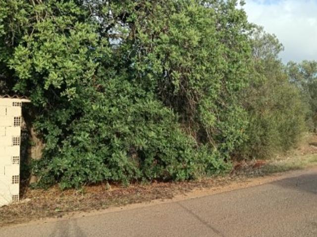Terreno venda em Loulé, Faro