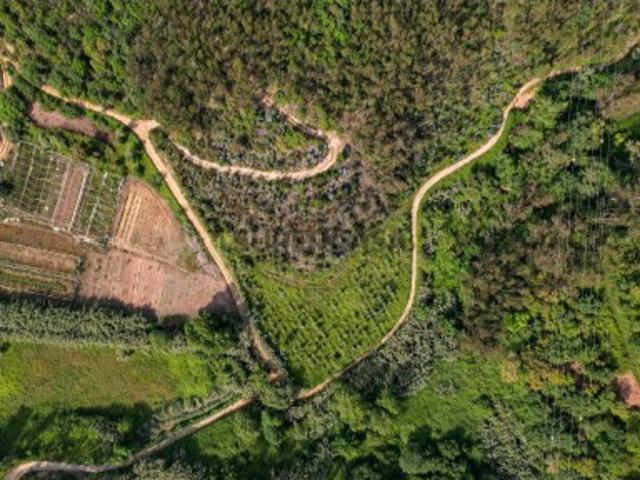 Terreno venda em Sobreiro, Mafra