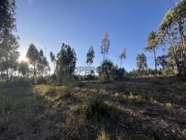 Terreno venda em Tomar, Santarém