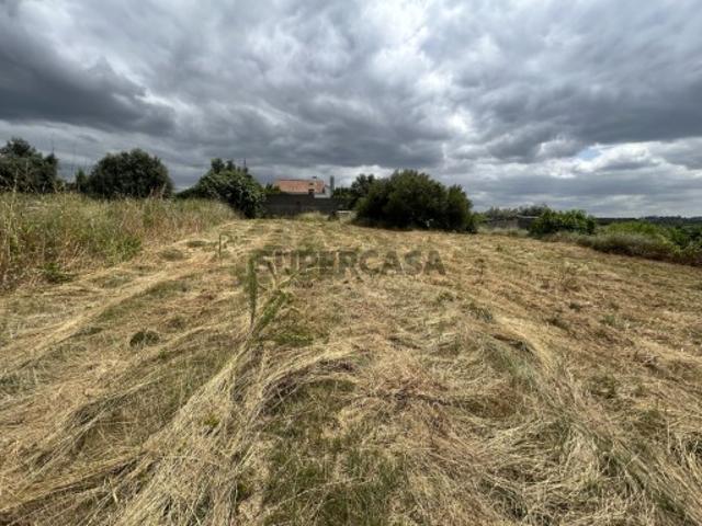 Terreno venda em Tomar, Santa Cruz Terreno venda em Tomar, Santa Cruz