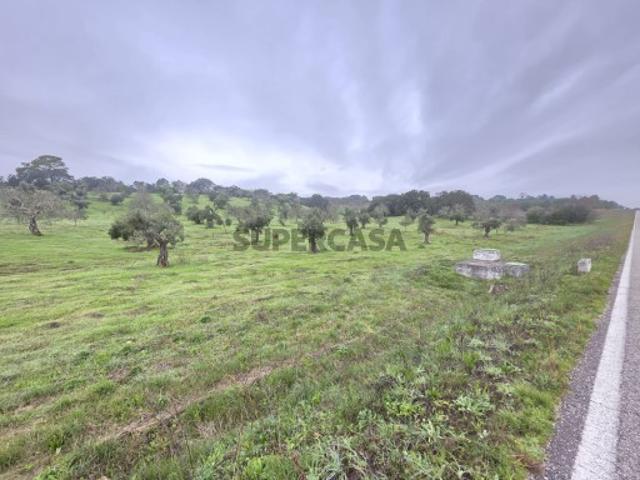 Terreno venda em Olaia e Paço, Torres Novas