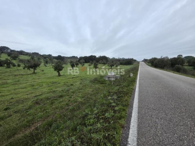 Terreno venda em Olaia e Paço, Torres Novas