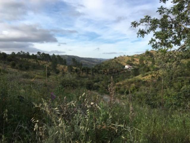 Terreno venda em Santa Catarina da Fonte do Bispo, Tavira