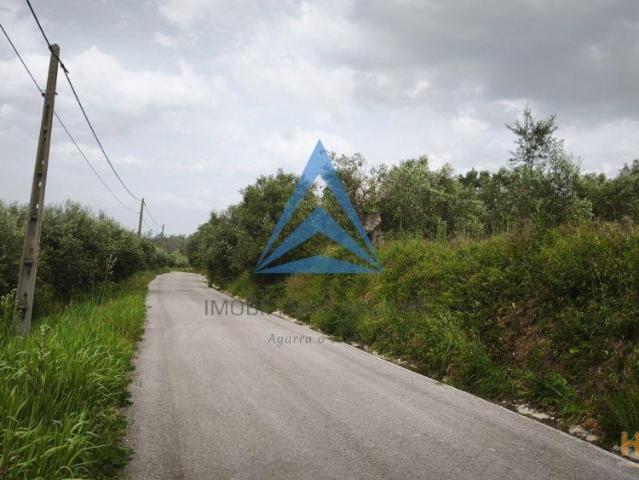 Terreno venda em Pombal, Leiria
