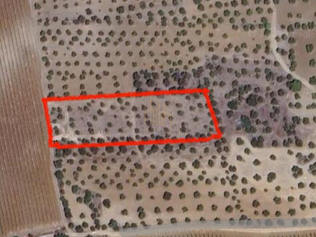 Terreno venda em Reguengos De Monsaraz, Évora
